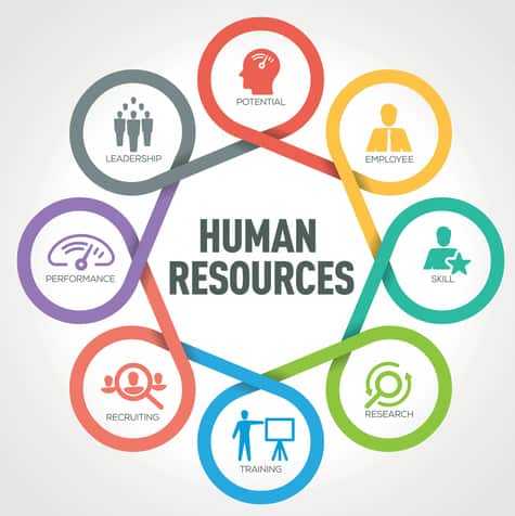 Human Resources infographic with 8 steps, parts, options